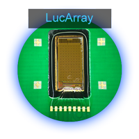 Subsidiary-LucArray-biochip